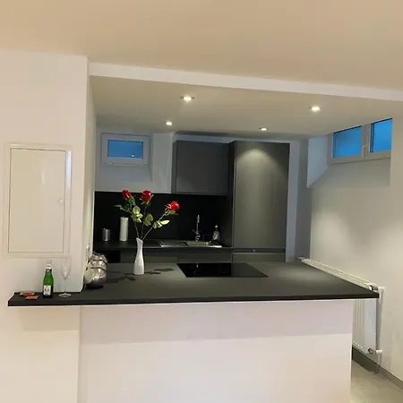 Apartment Dreamy Luxury Basement In