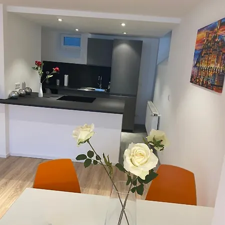 Dreamy Luxury Basement In Lejlighed